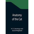 Anatomy of the Cat