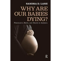 Why Are Our Babies Dying?: Pregnancy, Birth, and Death in America