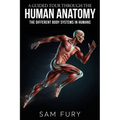 A Guided Tour Through the Human Anatomy: The Different Body Systems In Humans