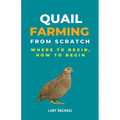 Quail Farming From Scratch: Where To Begin, How To Begin