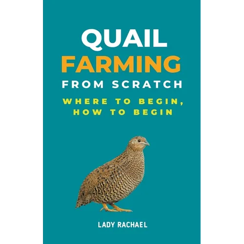 Quail Farming From Scratch: Where To Begin, How To Begin