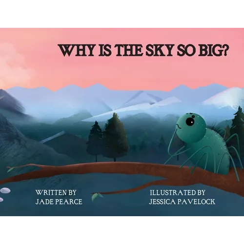 Why Is the Sky So Big?