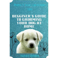 Perfect dog grooming tips: Beginner's guide to grooming your dog at home
