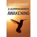 A Hummingbird's Awakening