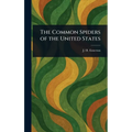 The Common Spiders of the United States