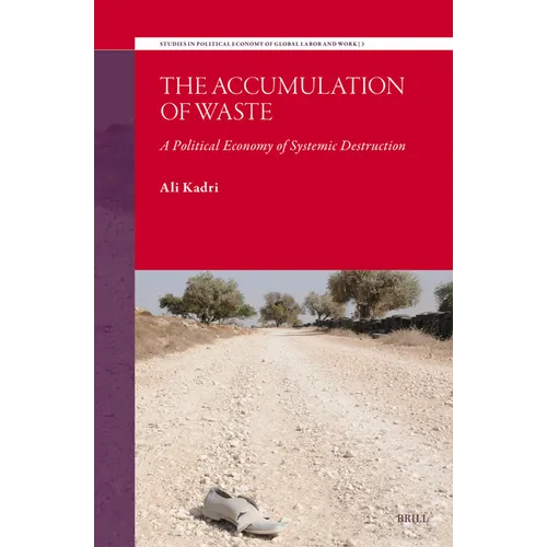 The Accumulation of Waste: A Political Economy of Systemic Destruction