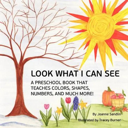 Look What I Can See: A Preschool Book that Teaches Colors, Shapes, Numbers, and Much More!