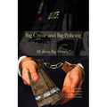Big Crime and Big Policing: All about Big Money?