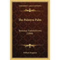 The Palmyra Palm: Borassus Flabelliformis (1888)