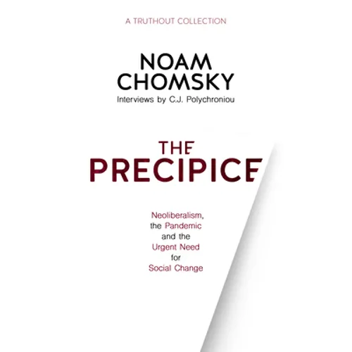 The Precipice: Neoliberalism, the Pandemic and the Urgent Need for Social Change