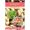 Ginger: Herb of the Year 2023