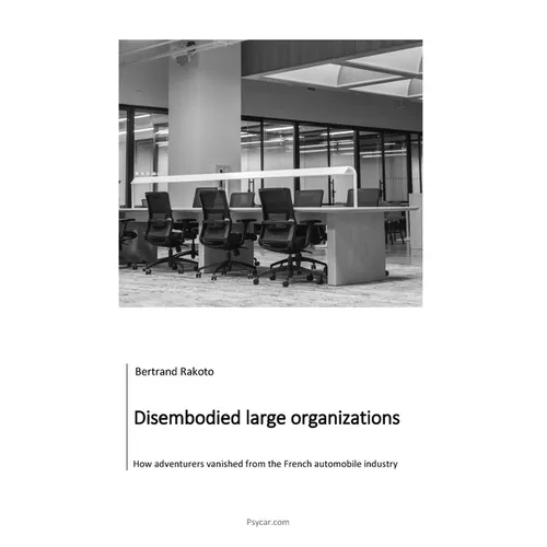 Disembodied large organizations: How adventurers vanished from the French automobile industry