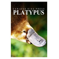 Platypus - Curious Kids Press: Kids book about animals and wildlife, Children's books 4-6