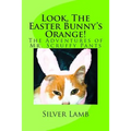Look, The Easter Bunny's Orange: The Adventures of Mr. Scruffy Pants
