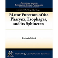 Motor Function of the Pharynx, Esophagus, and Its Sphincters