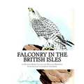 Falconry in the British Isles