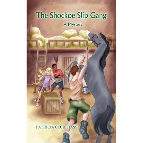 The Shockoe Slip Gang: A Mystery