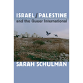 Israel/Palestine and the Queer International