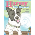Harvey Gets Rescued