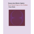 Essays about Modern Algebra