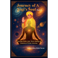 Journey of a Yogi's Soul - Part 2