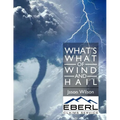 What's What of Wind and Hail