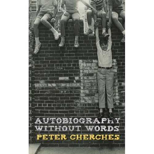 Autobiography Without Words