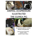 Animal Acupressure Illustration The Guinea Pig