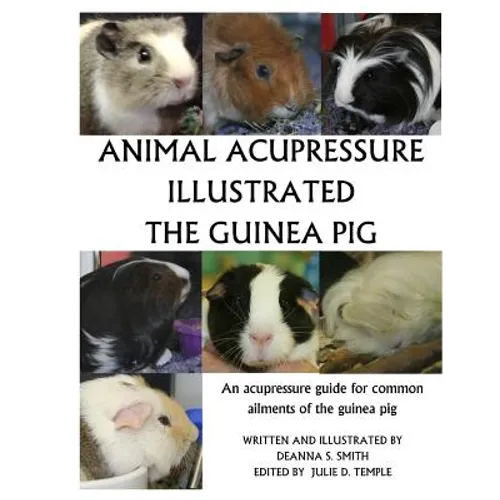 Animal Acupressure Illustration The Guinea Pig