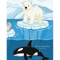 Marine Mammals Coloring Book 1
