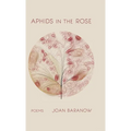 Aphids in the Rose