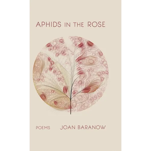 Aphids in the Rose