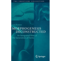 Morphogenesis Deconstructed: An Integrated View of the Generation of Forms