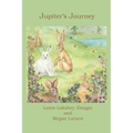 Jupiter's Journey