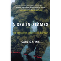 A Sea in Flames: The Deepwater Horizon Oil Blowout