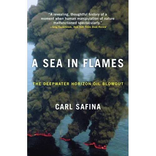 A Sea in Flames: The Deepwater Horizon Oil Blowout