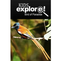 Birds Of Paradise - Kids Explore: Animal books nonfiction - books ages 5-6
