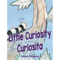 Little Curiosity