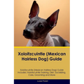 Xoloitzcuintle (Mexican Hairless Dog) Guide Xoloitzcuintle Guide Includes: Xoloitzcuintle Training, Diet, Socializing, Care, Grooming, and More