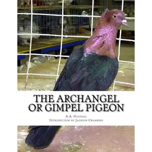 The Archangel or Gimpel Pigeon: Pigeon Breeds Book 8