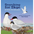 Searching for Skye: An Arctic Tern Adventure
