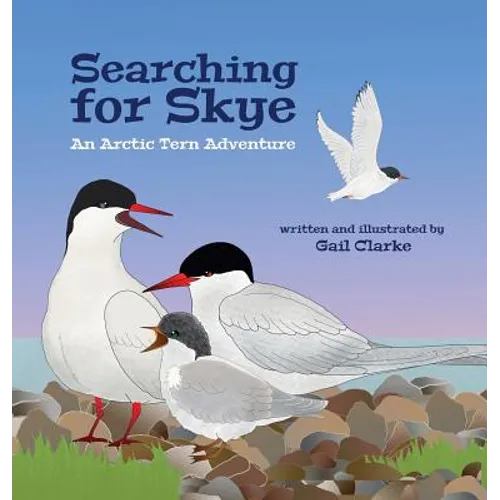 Searching for Skye: An Arctic Tern Adventure