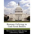 Biomass Cofiring in Coal-Fired Boilers