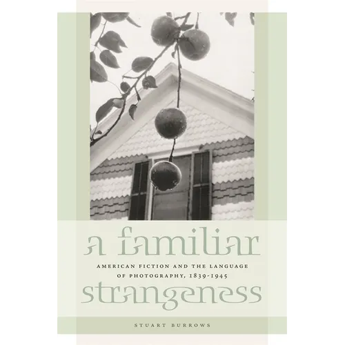 A Familiar Strangeness: American Fiction and the Language of Photography, 1839-1945