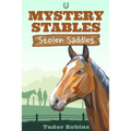 Stolen Saddles: A fun-filled mystery featuring best friends and horses