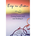 Trip to India: Going home and not finding it