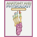Anatomy And Physiology Coloring Book