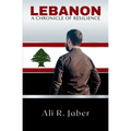 Lebanon: A Chronicle of Resilience