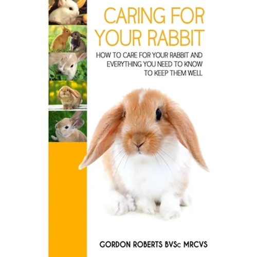 Caring For Your Rabbit: How to care for your Rabbit and everything you need to know to keep them well