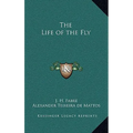 The Life of the Fly